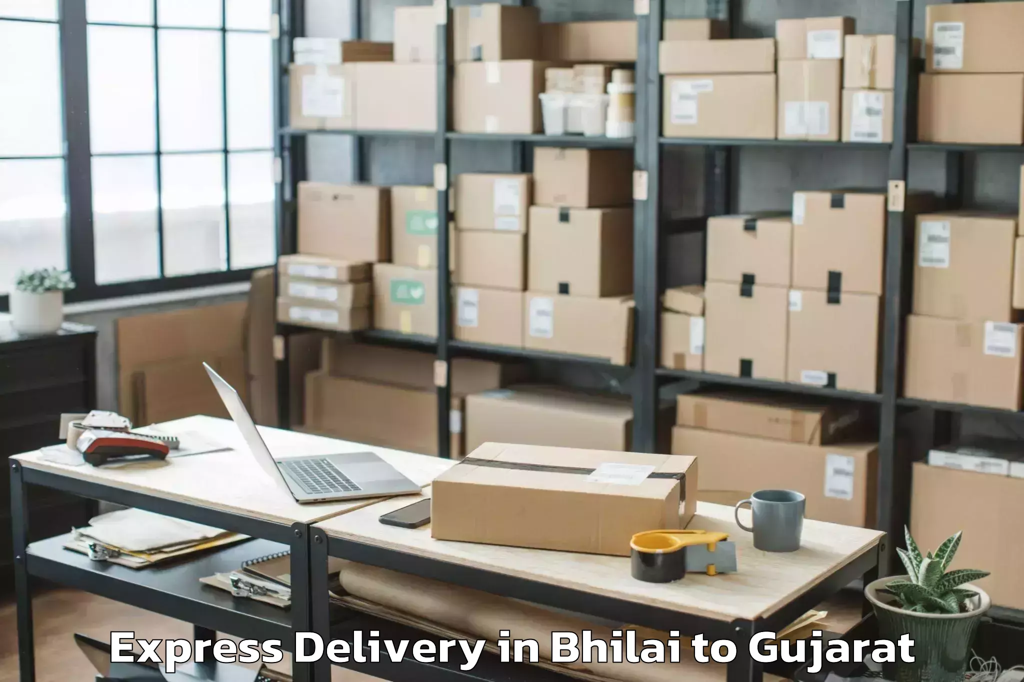 Top Bhilai to Uka Tarsadia University Bardol Express Delivery Available